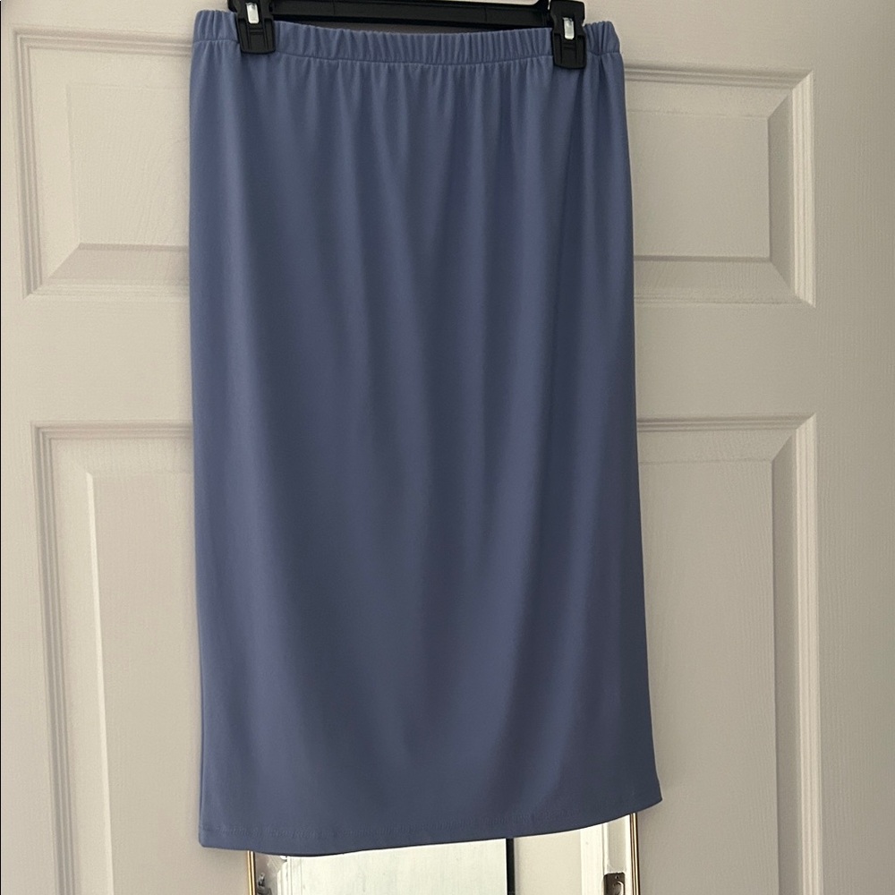 Zadie Bs Elegant Blue Women's Skirt